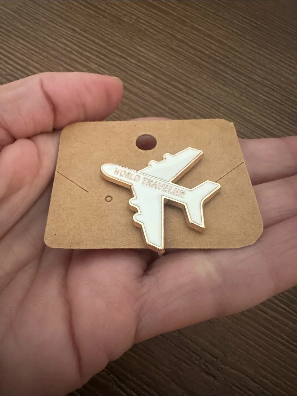 World Traveler Airplane Enamel Pin - Picture 3 of 6
